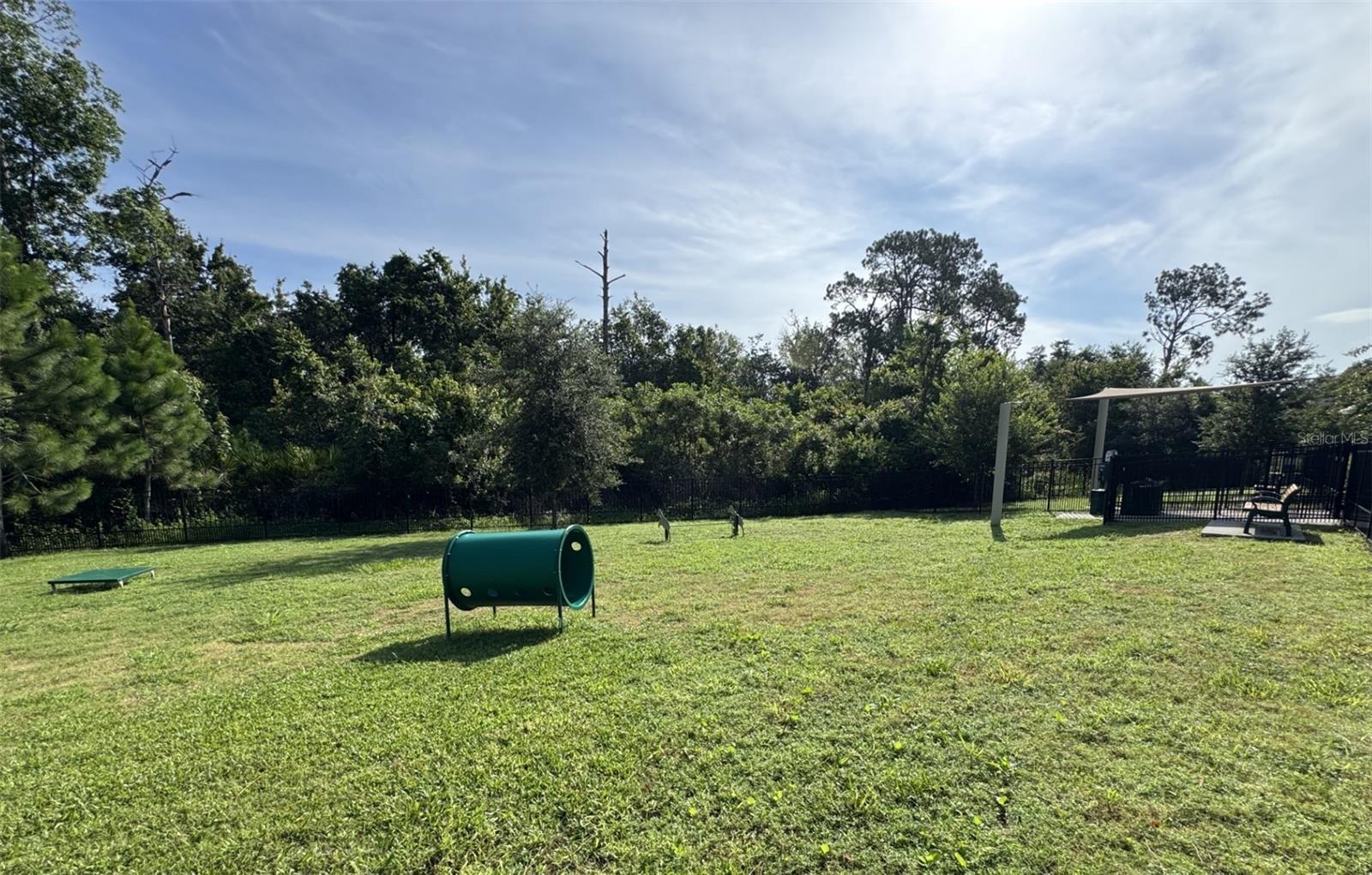 17631 LAKE STAR ROAD, Winter Garden, FL 34787