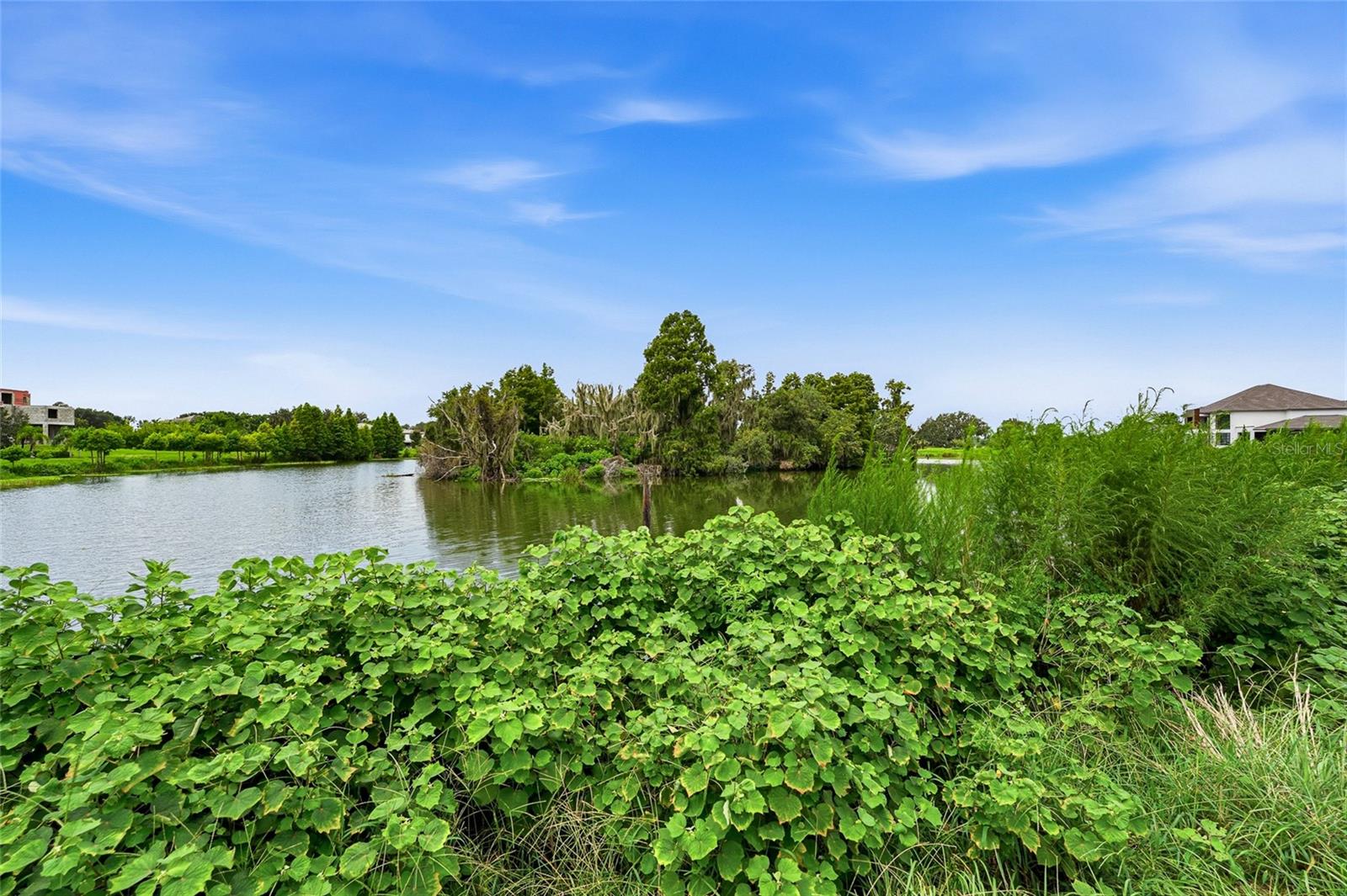 10710 OSPREY LANDING LOT 48 WAY, Thonotosassa, FL 33592