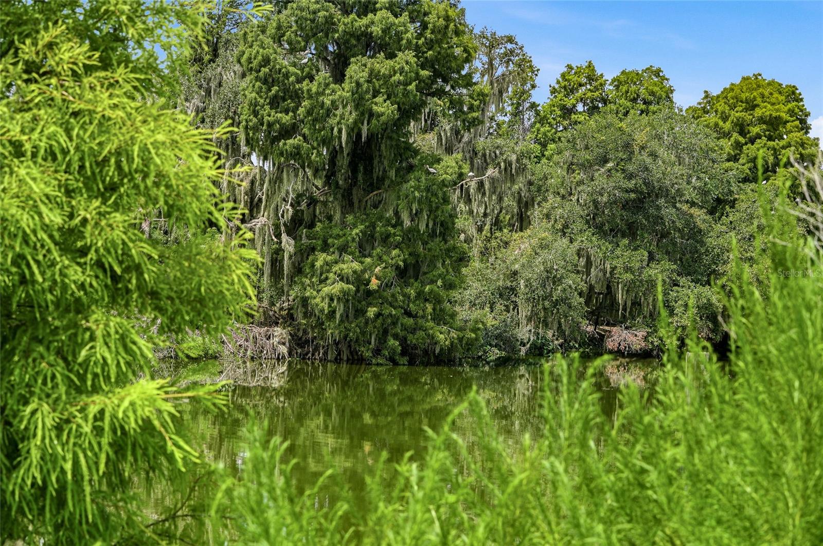 10710 OSPREY LANDING LOT 48 WAY, Thonotosassa, FL 33592