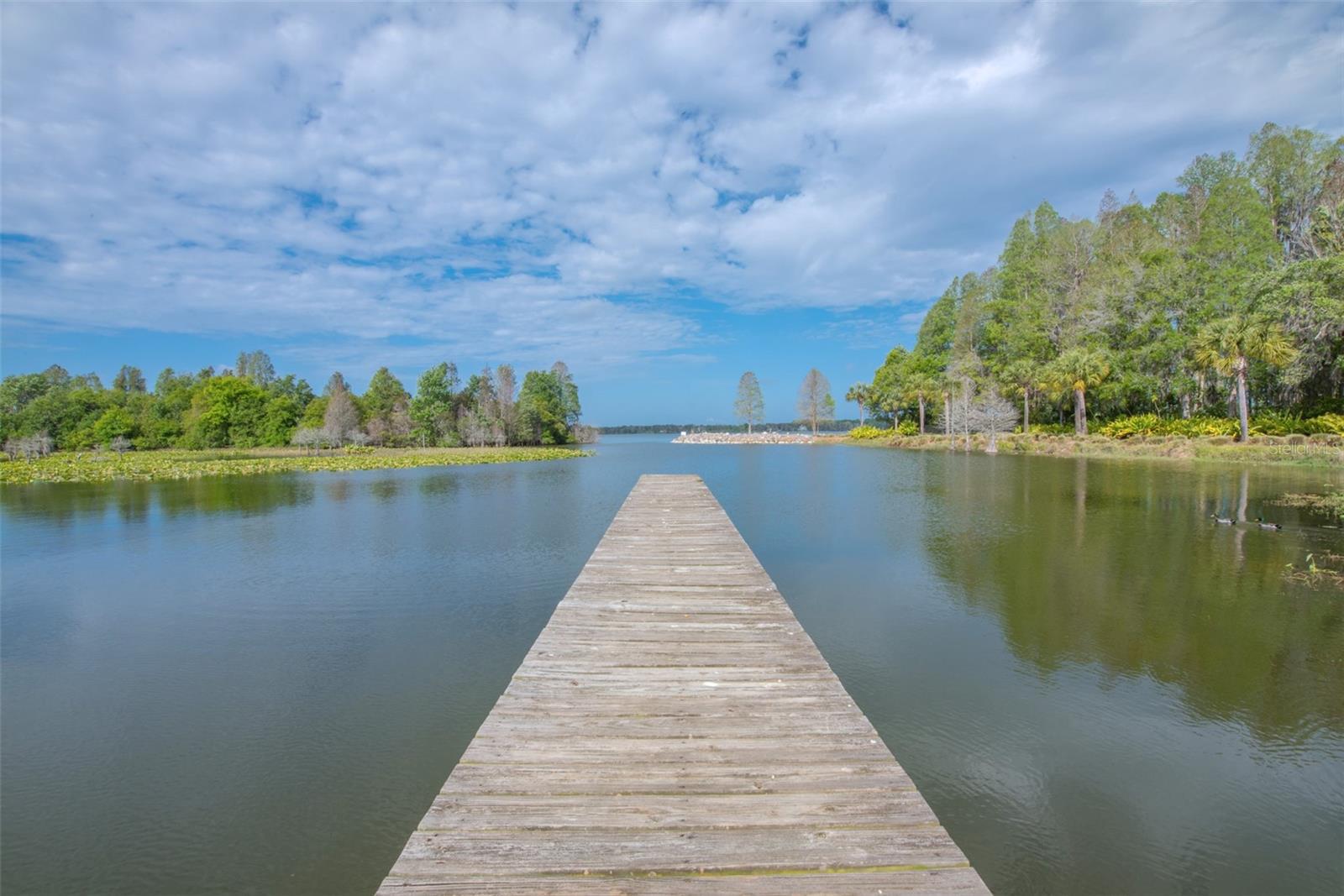 10710 OSPREY LANDING LOT 48 WAY, Thonotosassa, FL 33592
