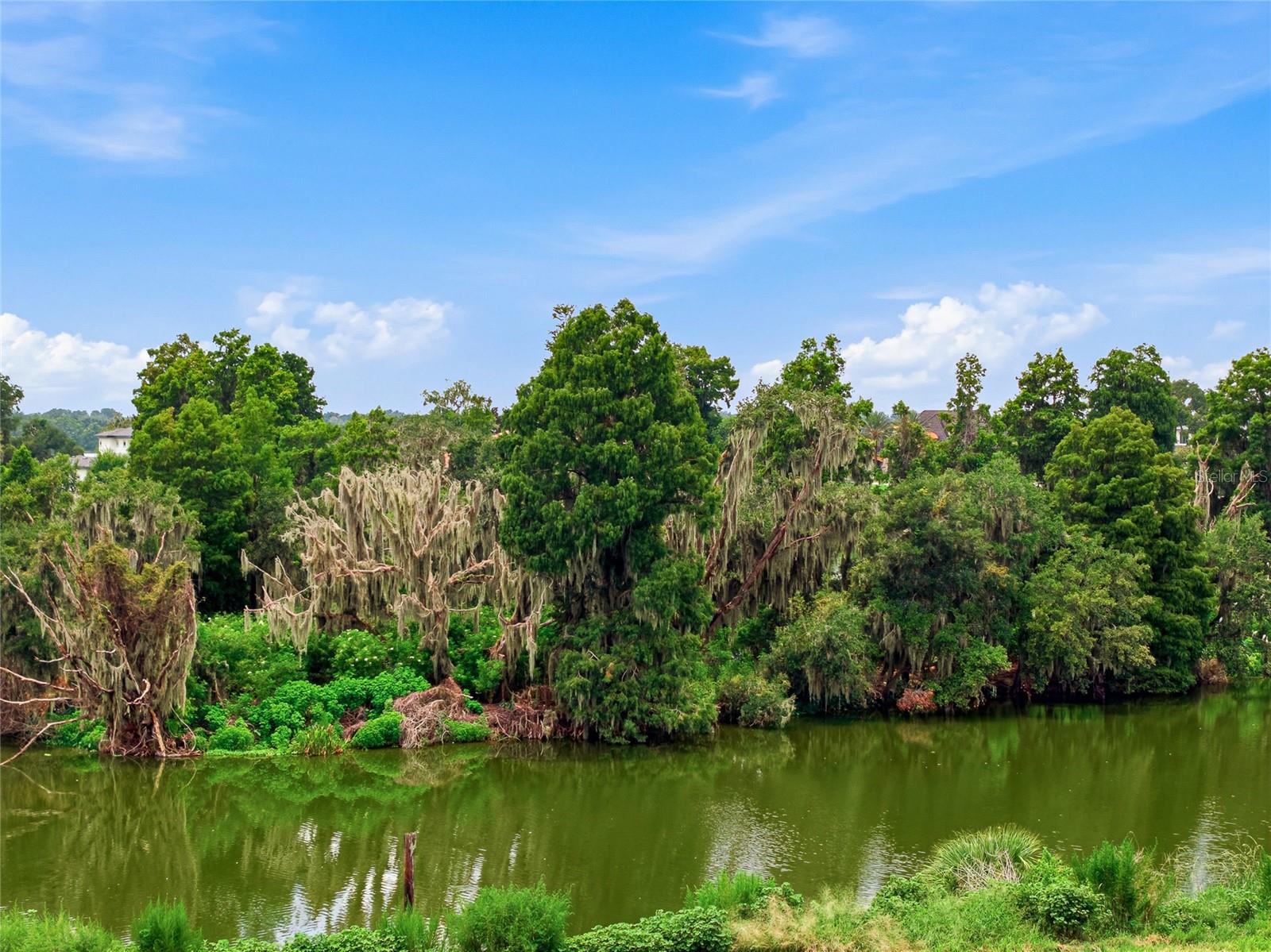 10710 OSPREY LANDING LOT 48 WAY, Thonotosassa, FL 33592