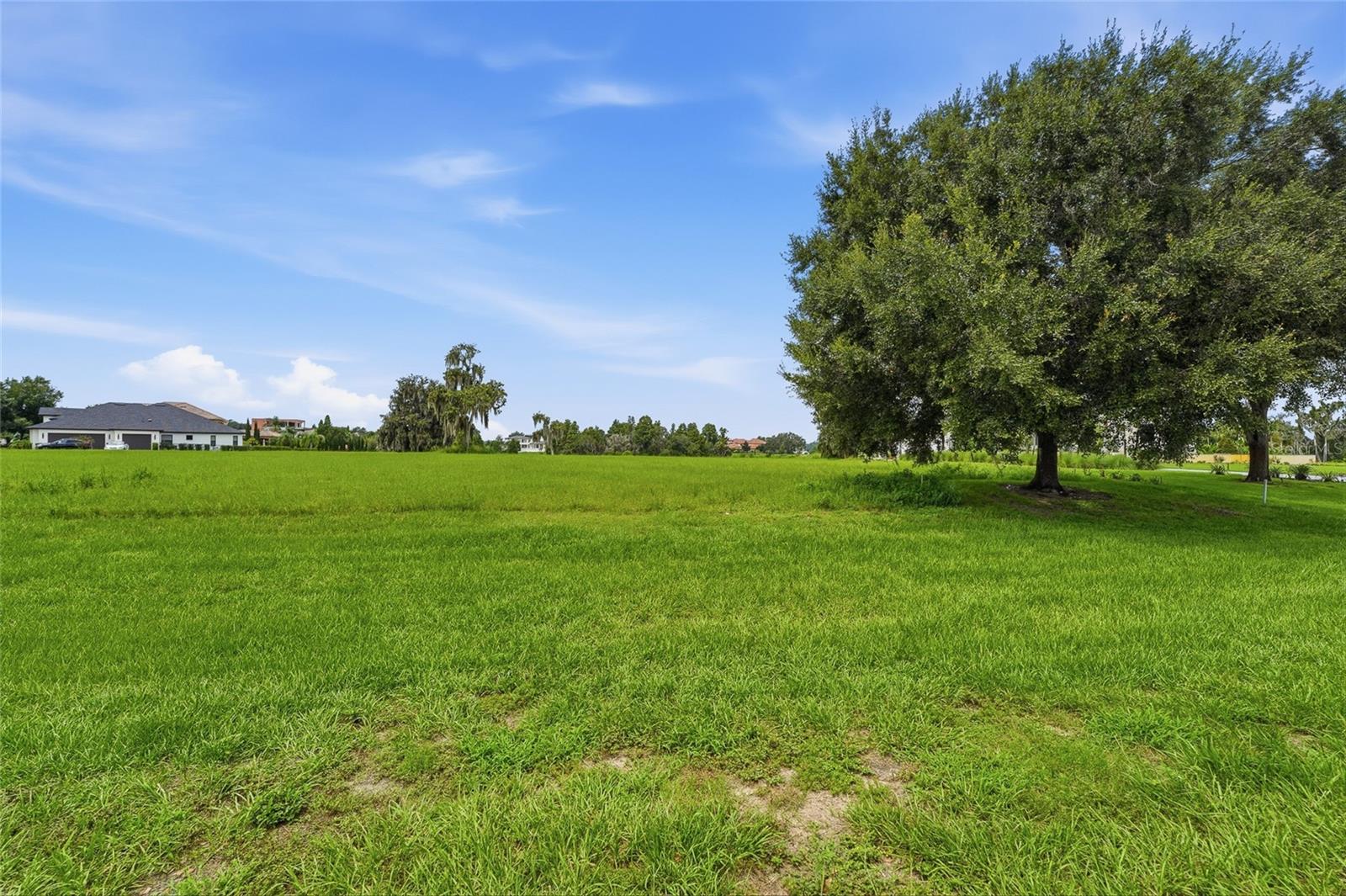 10710 OSPREY LANDING LOT 48 WAY, Thonotosassa, FL 33592