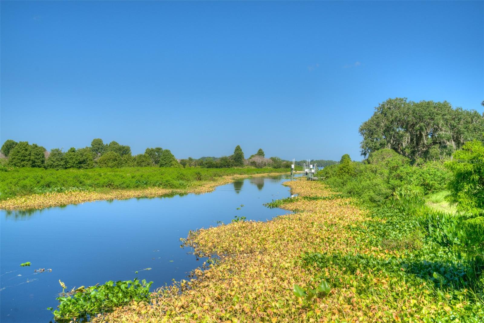 10710 OSPREY LANDING LOT 48 WAY, Thonotosassa, FL 33592