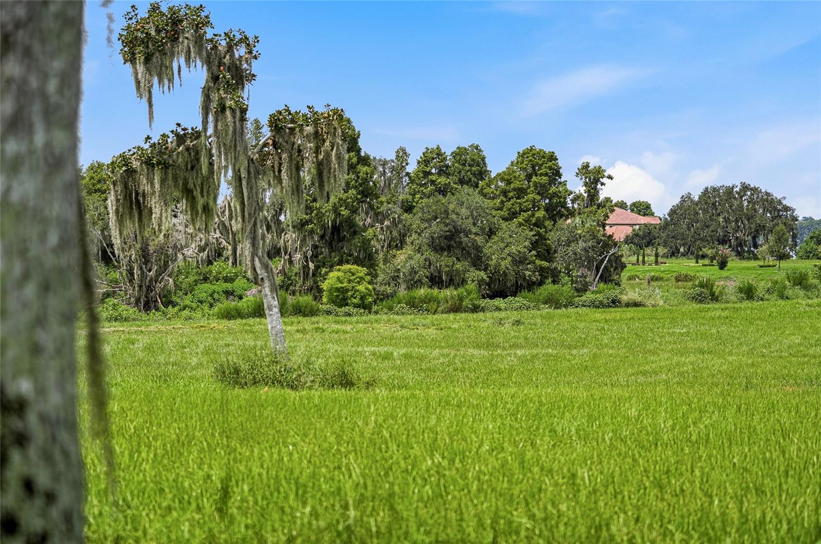 10710 OSPREY LANDING LOT 48 WAY, Thonotosassa, FL 33592