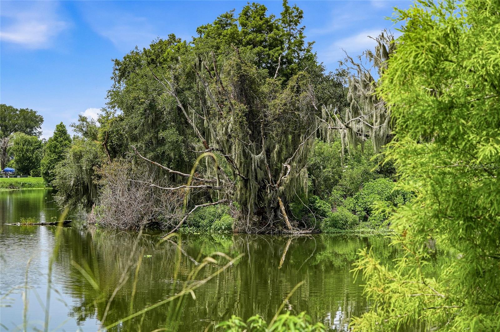 10710 OSPREY LANDING LOT 48 WAY, Thonotosassa, FL 33592
