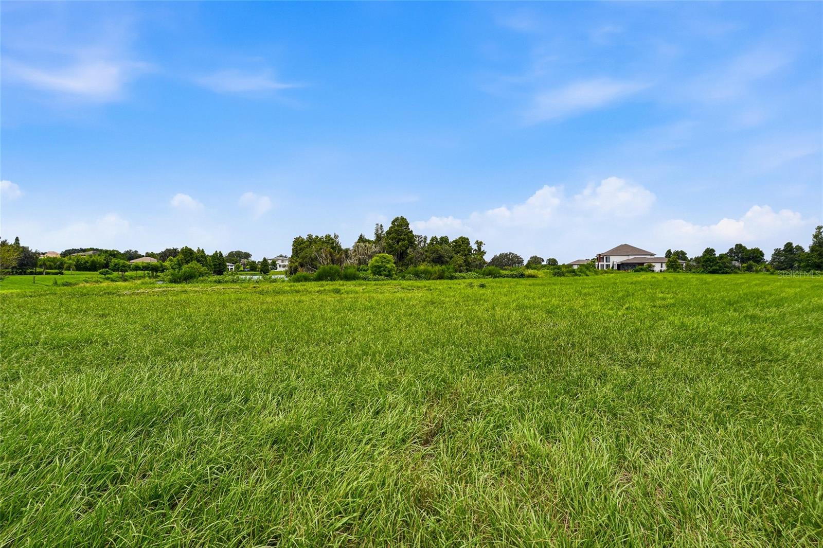 10710 OSPREY LANDING LOT 48 WAY, Thonotosassa, FL 33592