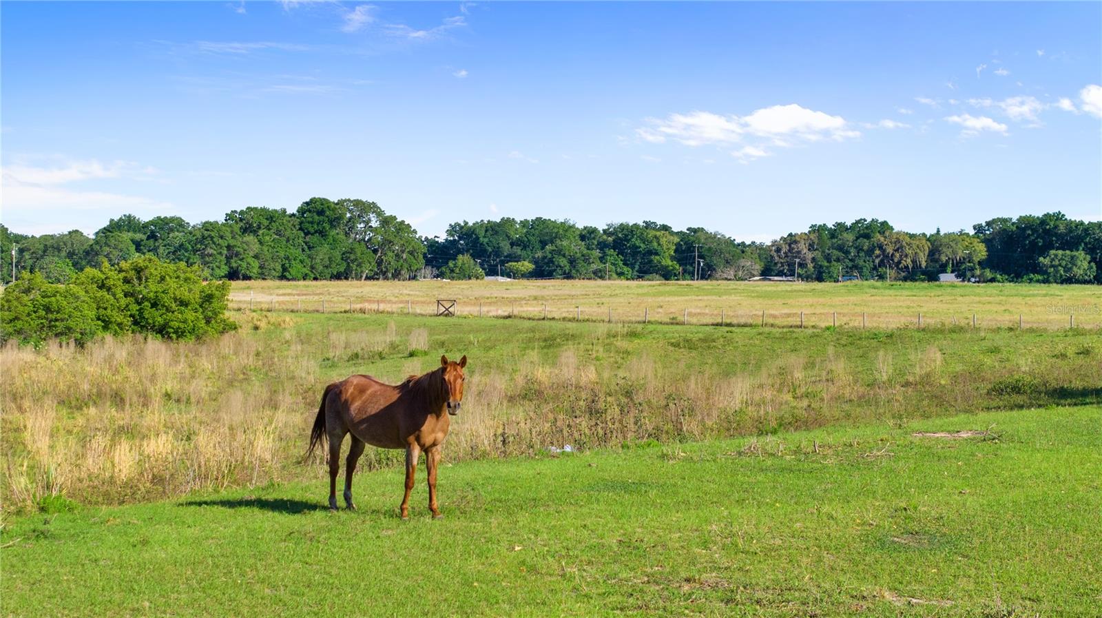 10710 OSPREY LANDING LOT 48 WAY, Thonotosassa, FL 33592