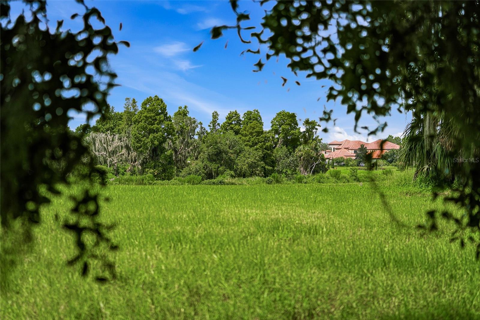 10710 OSPREY LANDING LOT 48 WAY, Thonotosassa, FL 33592