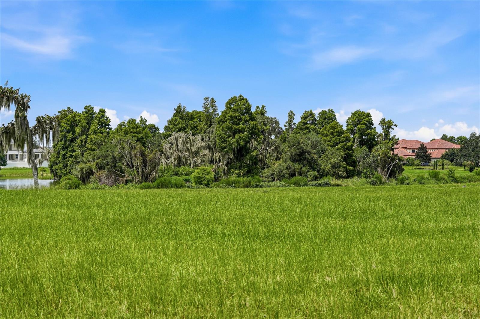 10710 OSPREY LANDING LOT 48 WAY, Thonotosassa, FL 33592