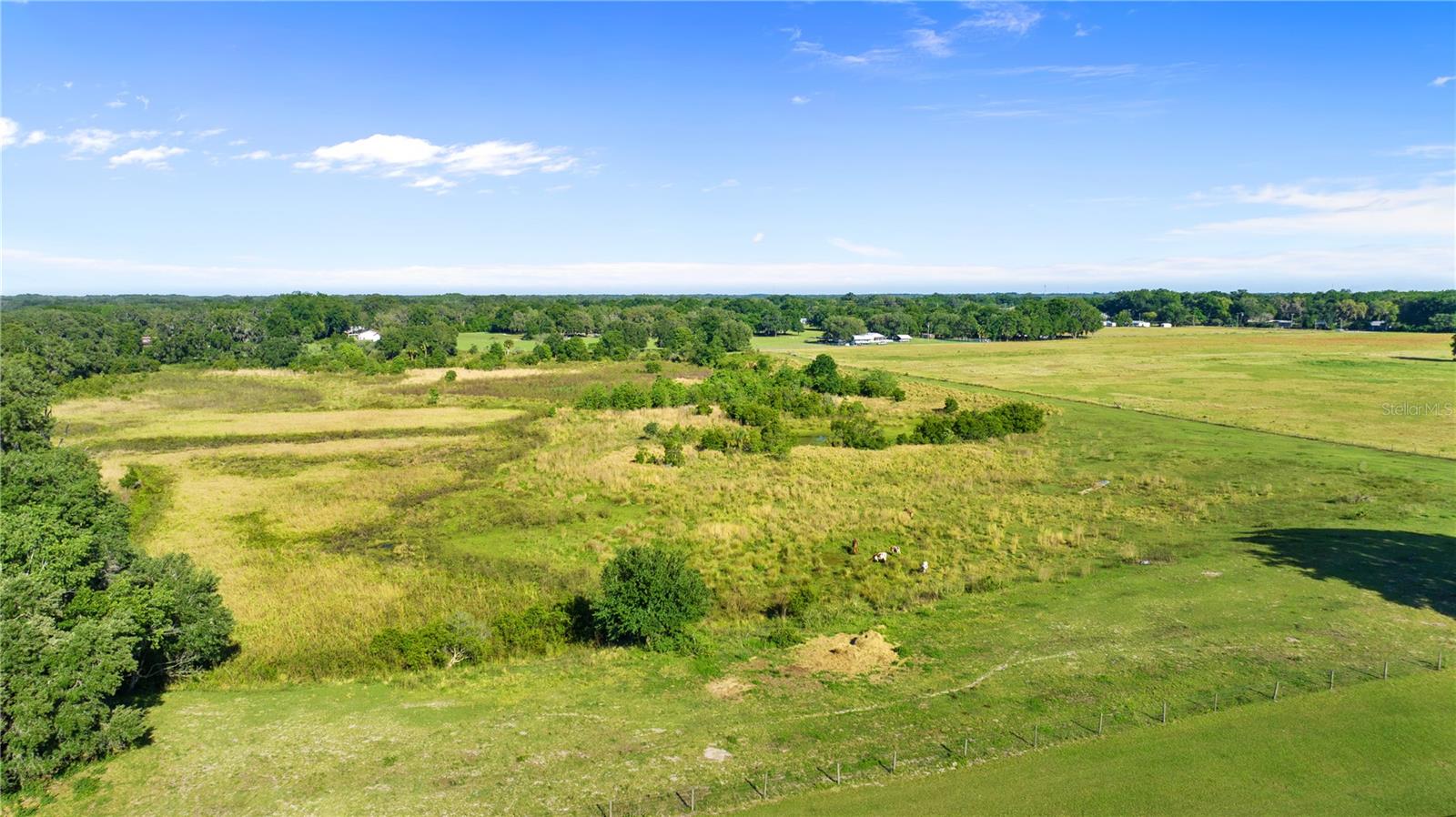 10710 OSPREY LANDING LOT 48 WAY, Thonotosassa, FL 33592