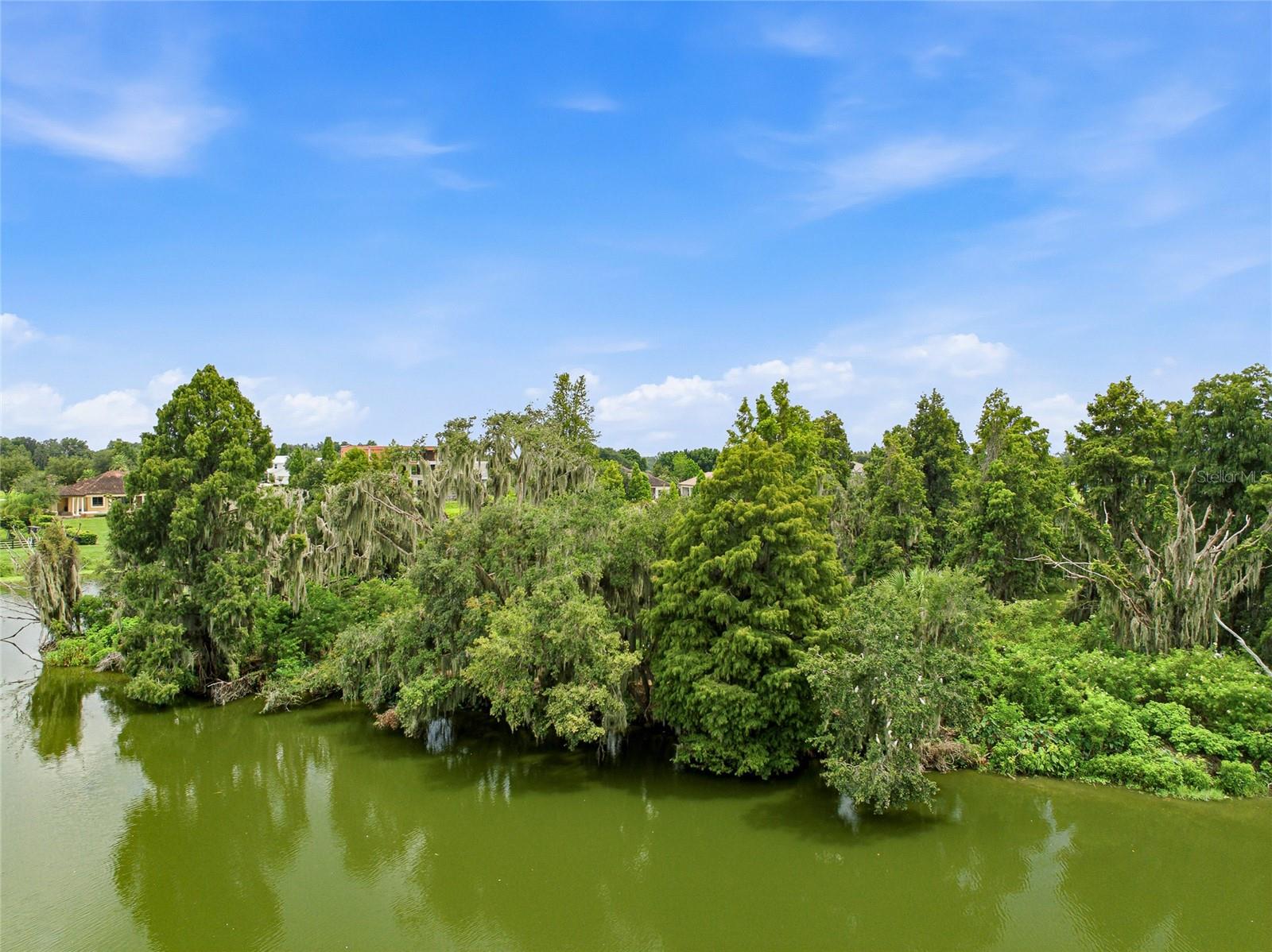 10710 OSPREY LANDING LOT 48 WAY, Thonotosassa, FL 33592