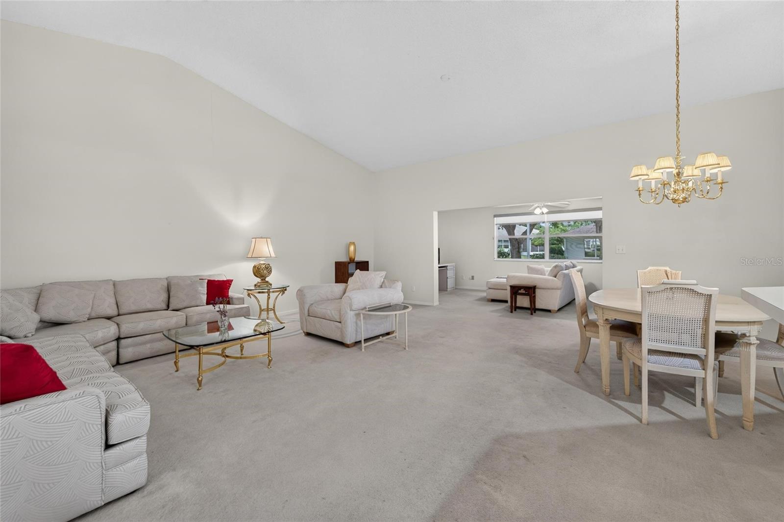 Large Open Concept
