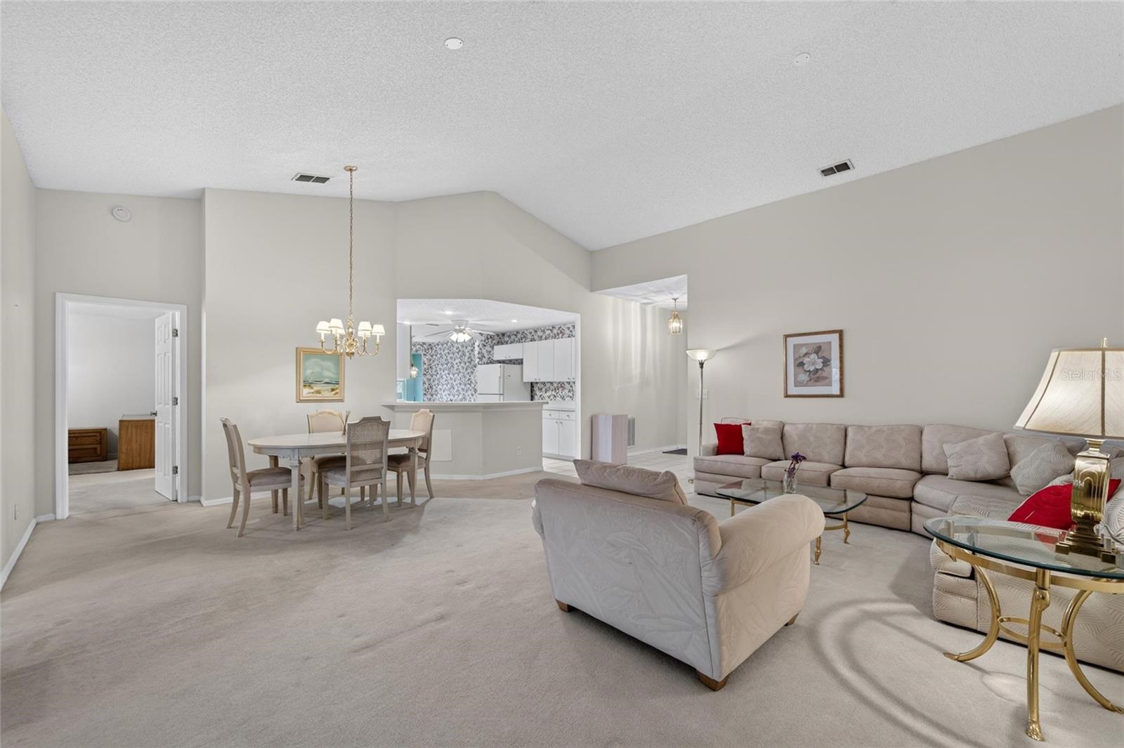Large Open Concept Living Area