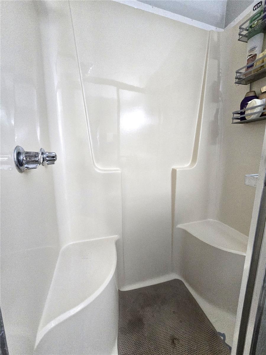 Primary bathroom shower
