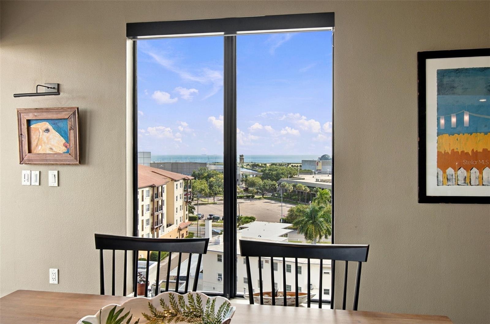 199 DALI BOULEVARD, #807, St Petersburg, FL 33701