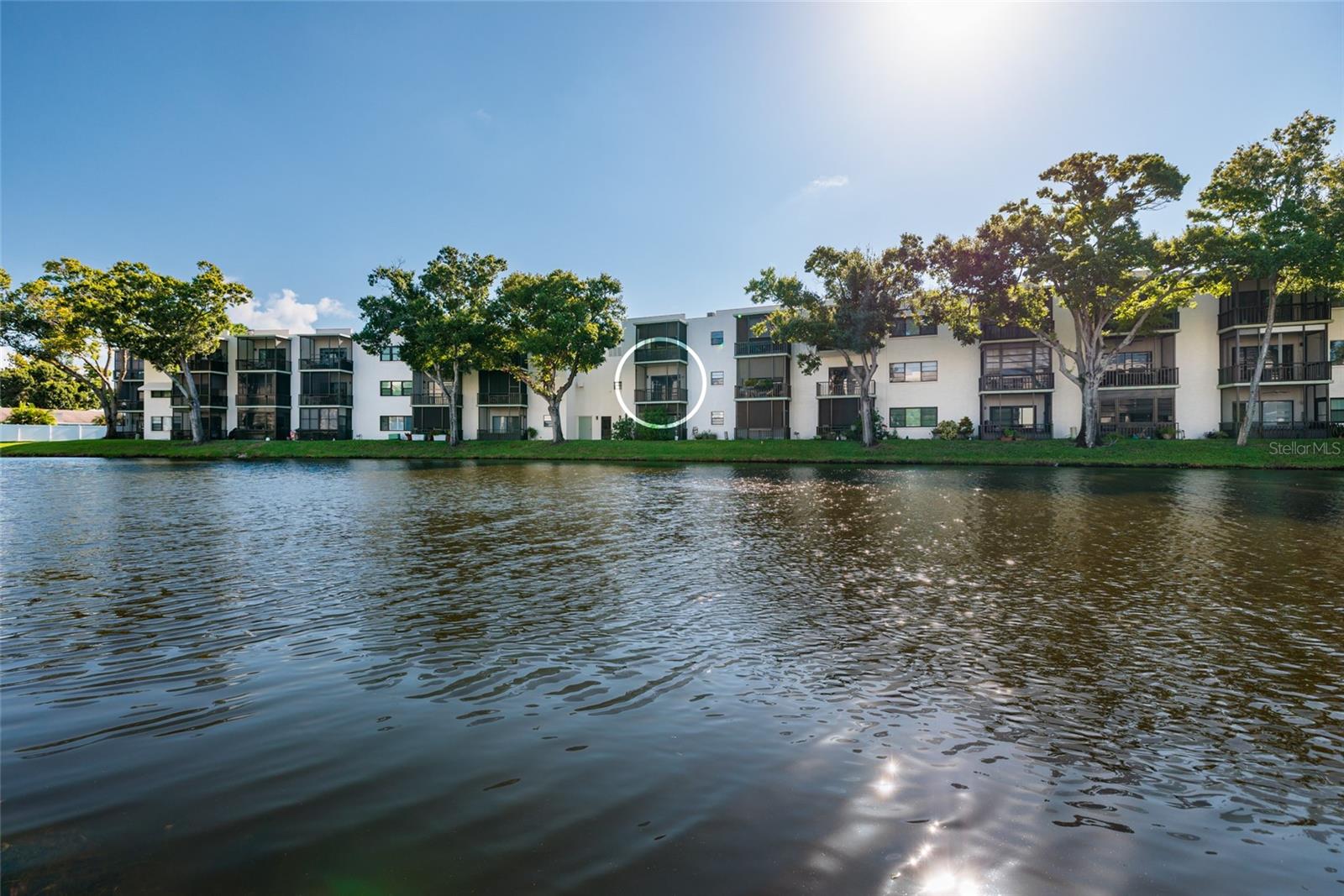 5980 TERRACE PARK DRIVE N, #208, St Petersburg, FL 33709