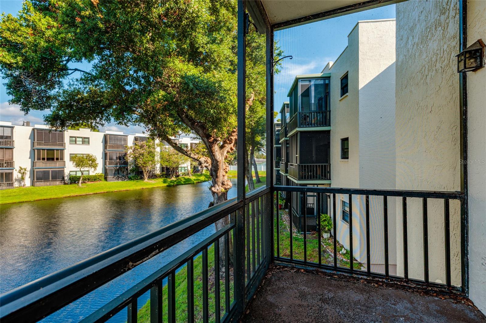 5980 TERRACE PARK DRIVE N, #208, St Petersburg, FL 33709