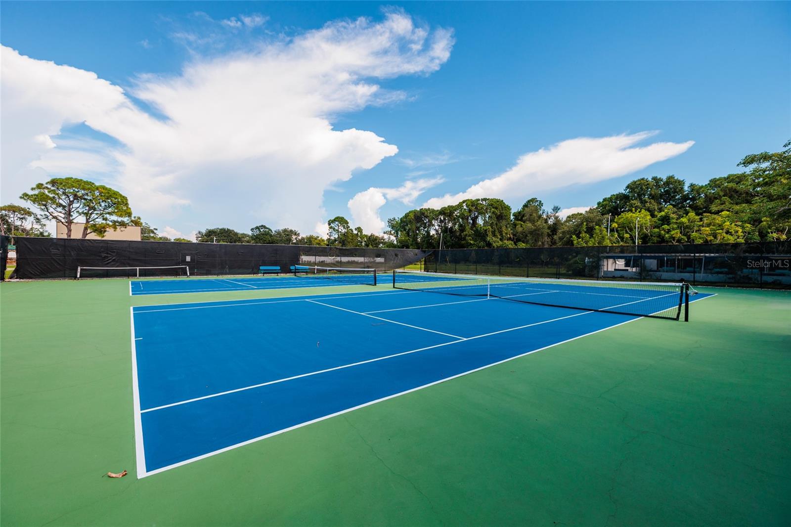 5980 TERRACE PARK DRIVE N, #208, St Petersburg, FL 33709