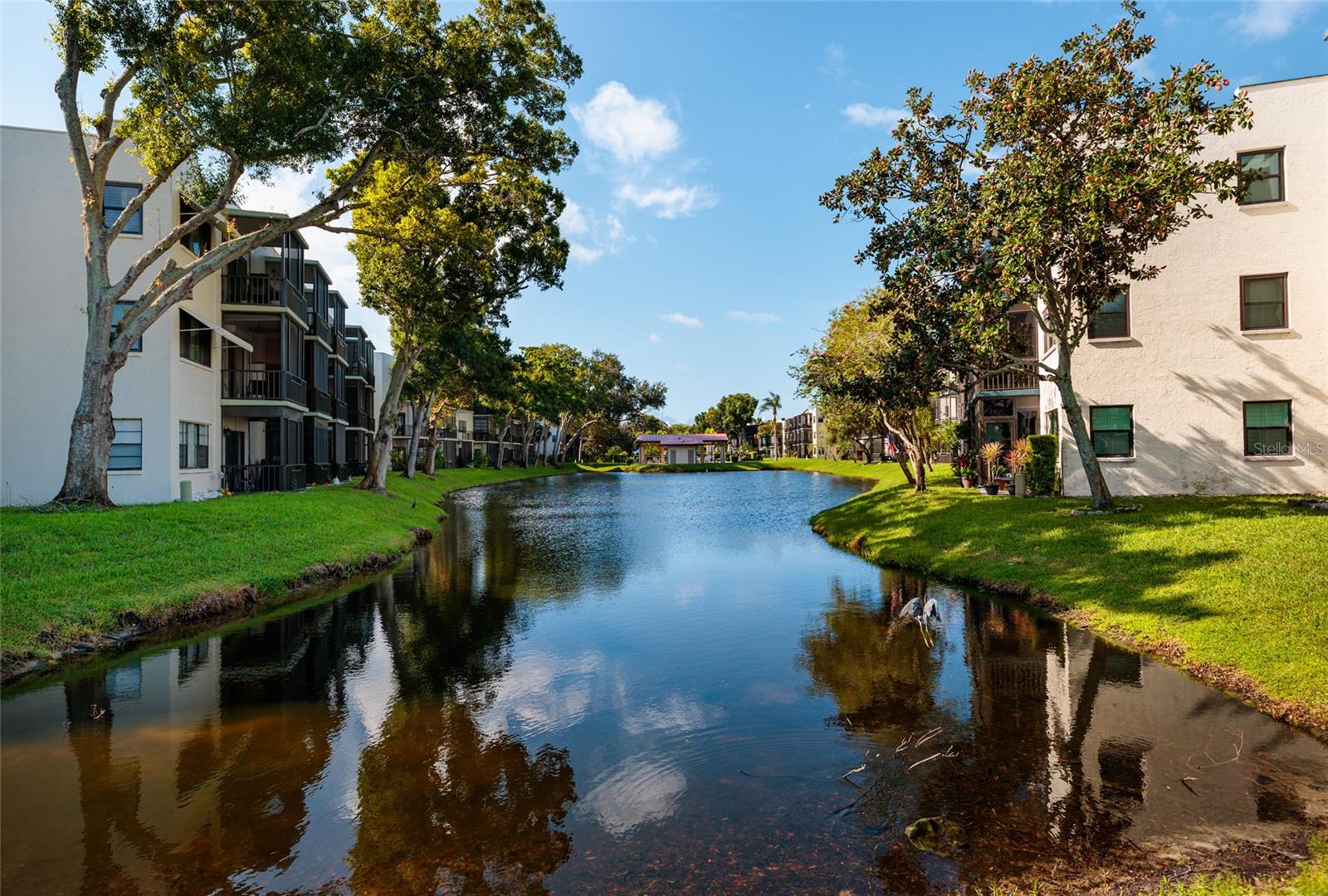 5980 TERRACE PARK DRIVE N, #208, St Petersburg, FL 33709