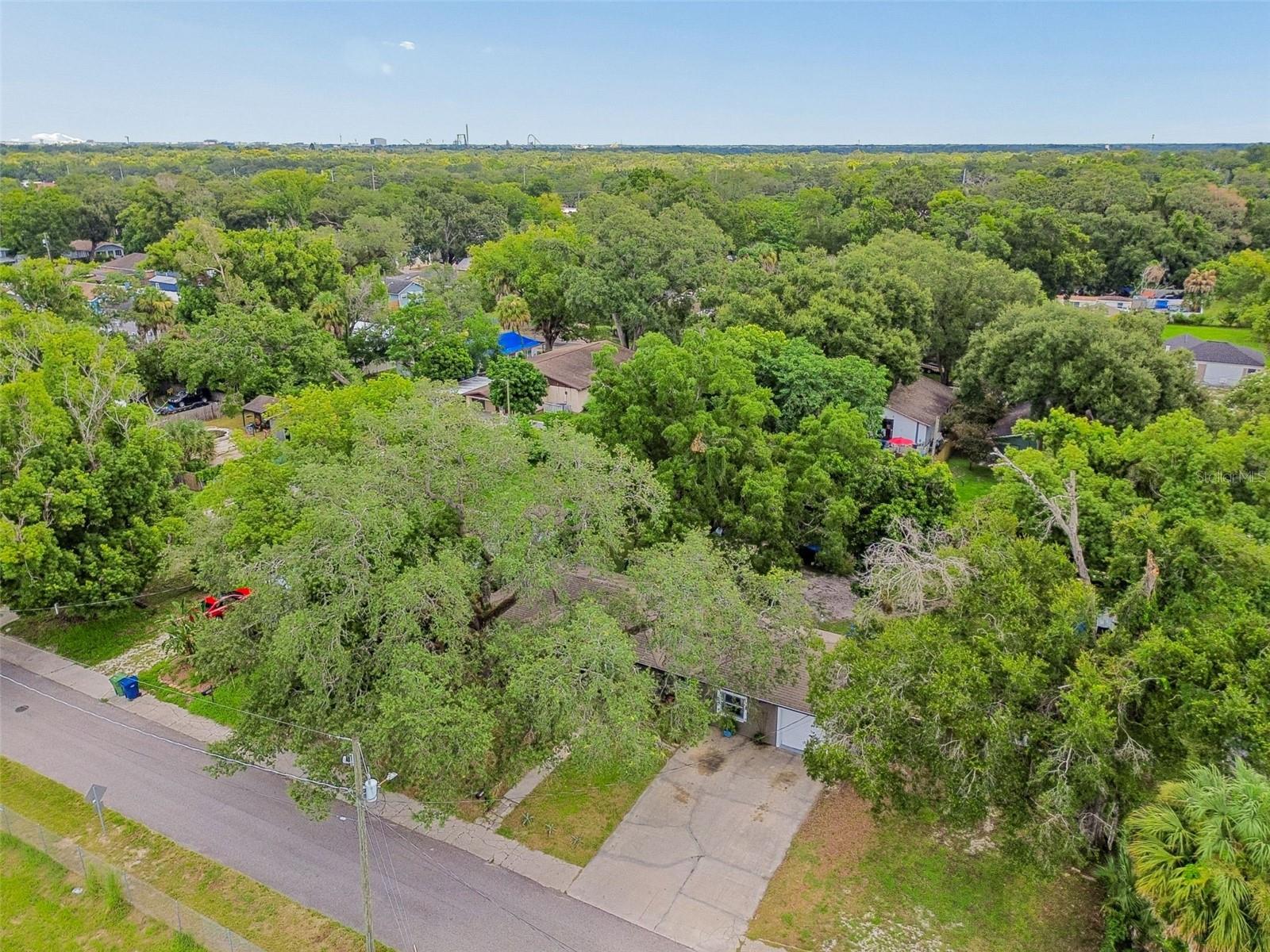 7307 N HUNTLEY AVENUE, Tampa, FL 33604