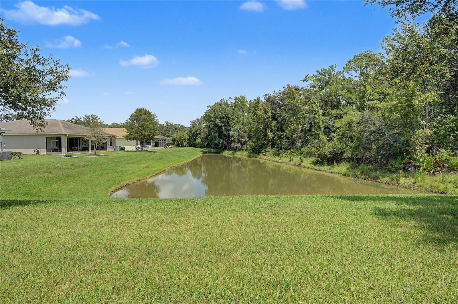 29079 OXMOOR COURT, San Antonio, FL 33576
