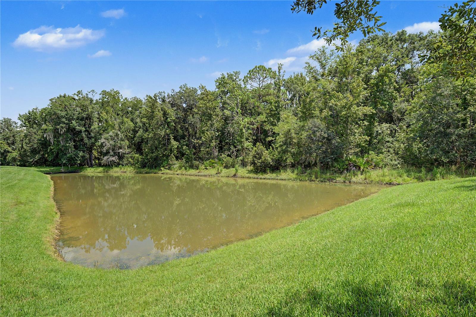 29079 OXMOOR COURT, San Antonio, FL 33576
