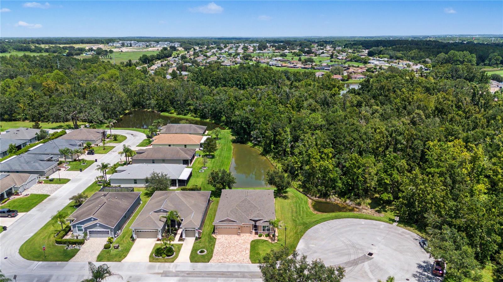 29079 OXMOOR COURT, San Antonio, FL 33576