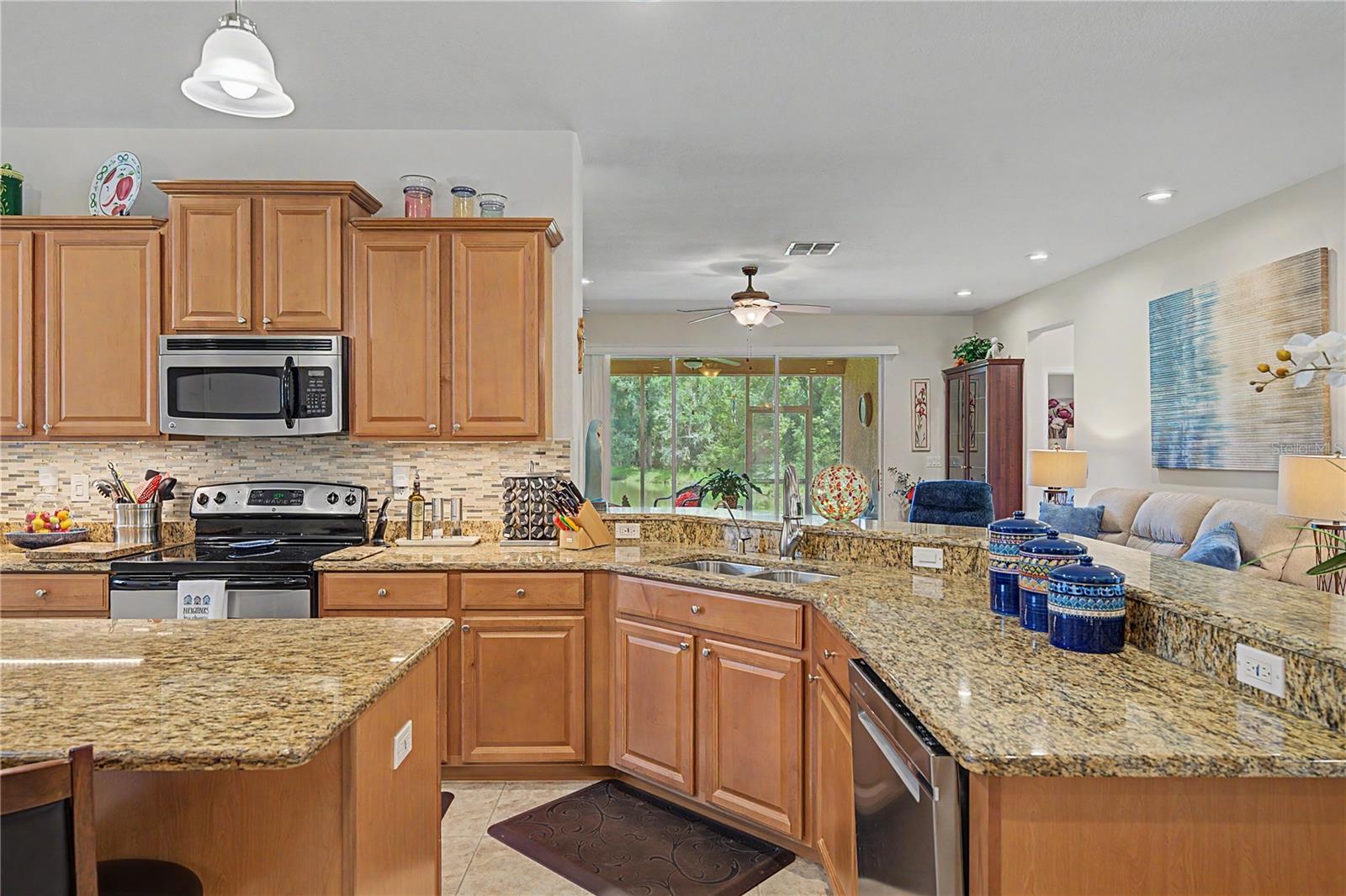 29079 OXMOOR COURT, San Antonio, FL 33576
