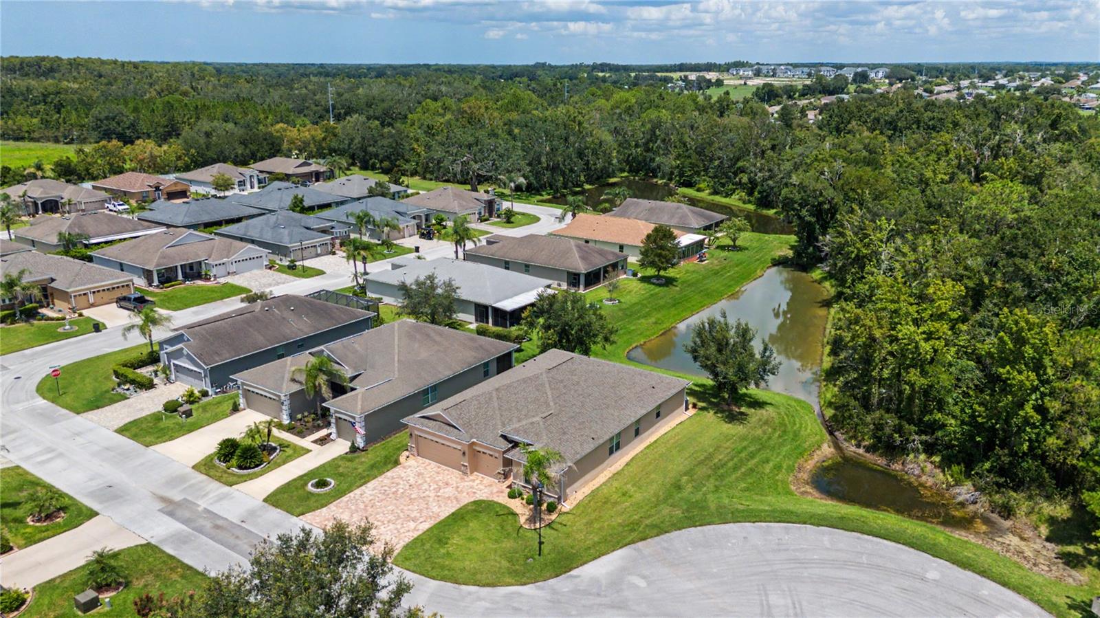 29079 OXMOOR COURT, San Antonio, FL 33576