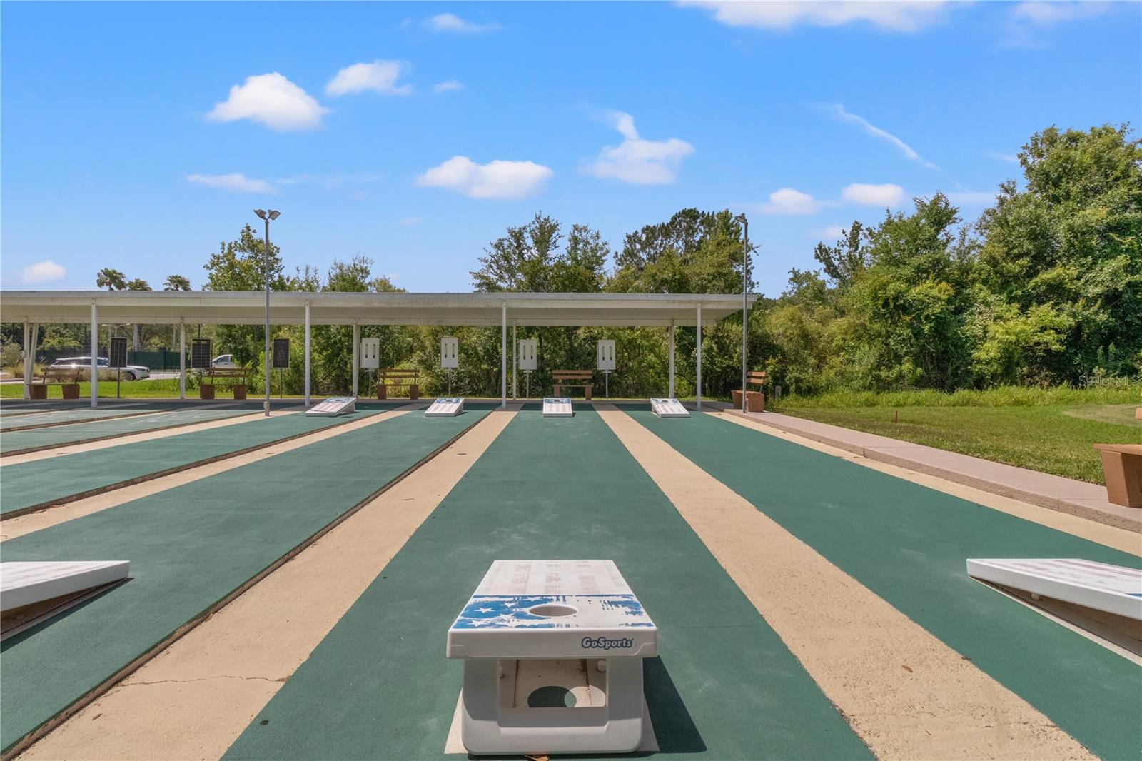 29079 OXMOOR COURT, San Antonio, FL 33576