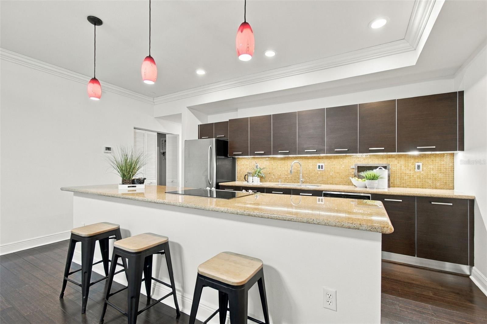 205 5TH AVENUE N, #201, St Petersburg, FL 33701