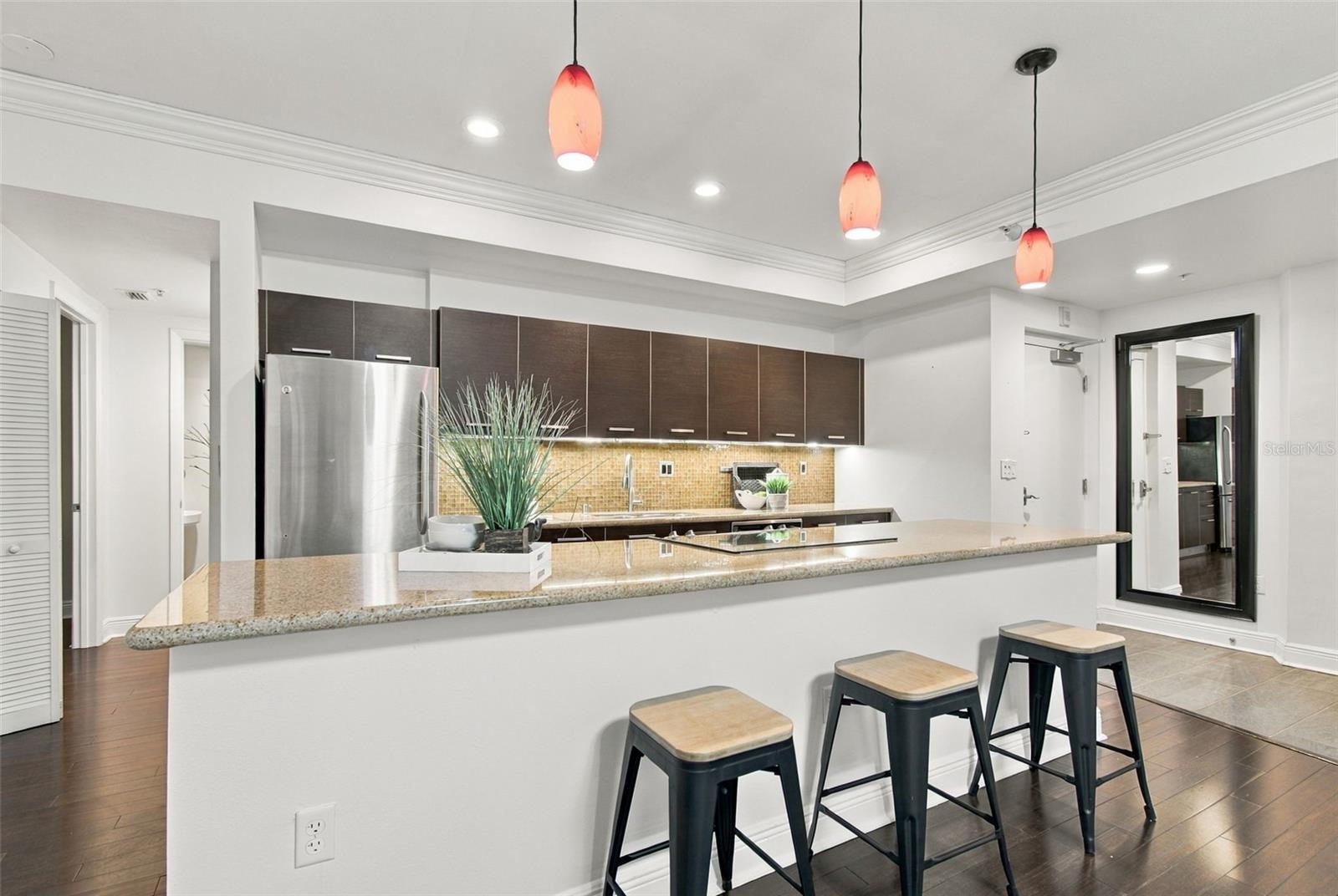 205 5TH AVENUE N, #201, St Petersburg, FL 33701