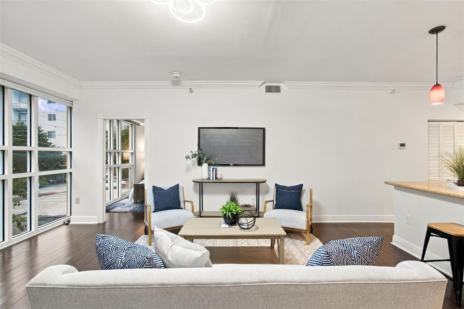 205 5TH AVENUE N, #201, St Petersburg, FL 33701