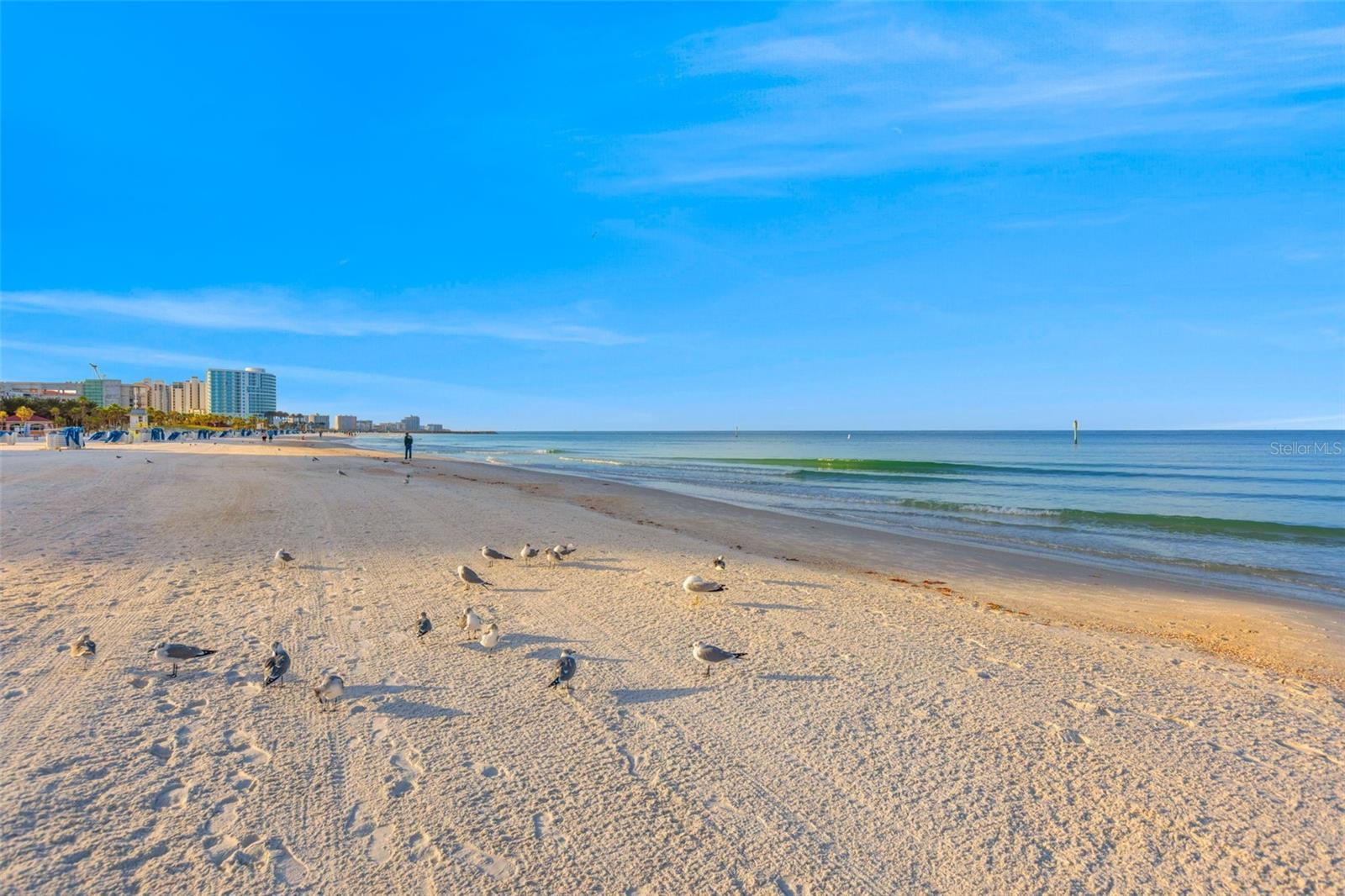 440 S GULFVIEW BOULEVARD, #1407, Clearwater, FL 33767