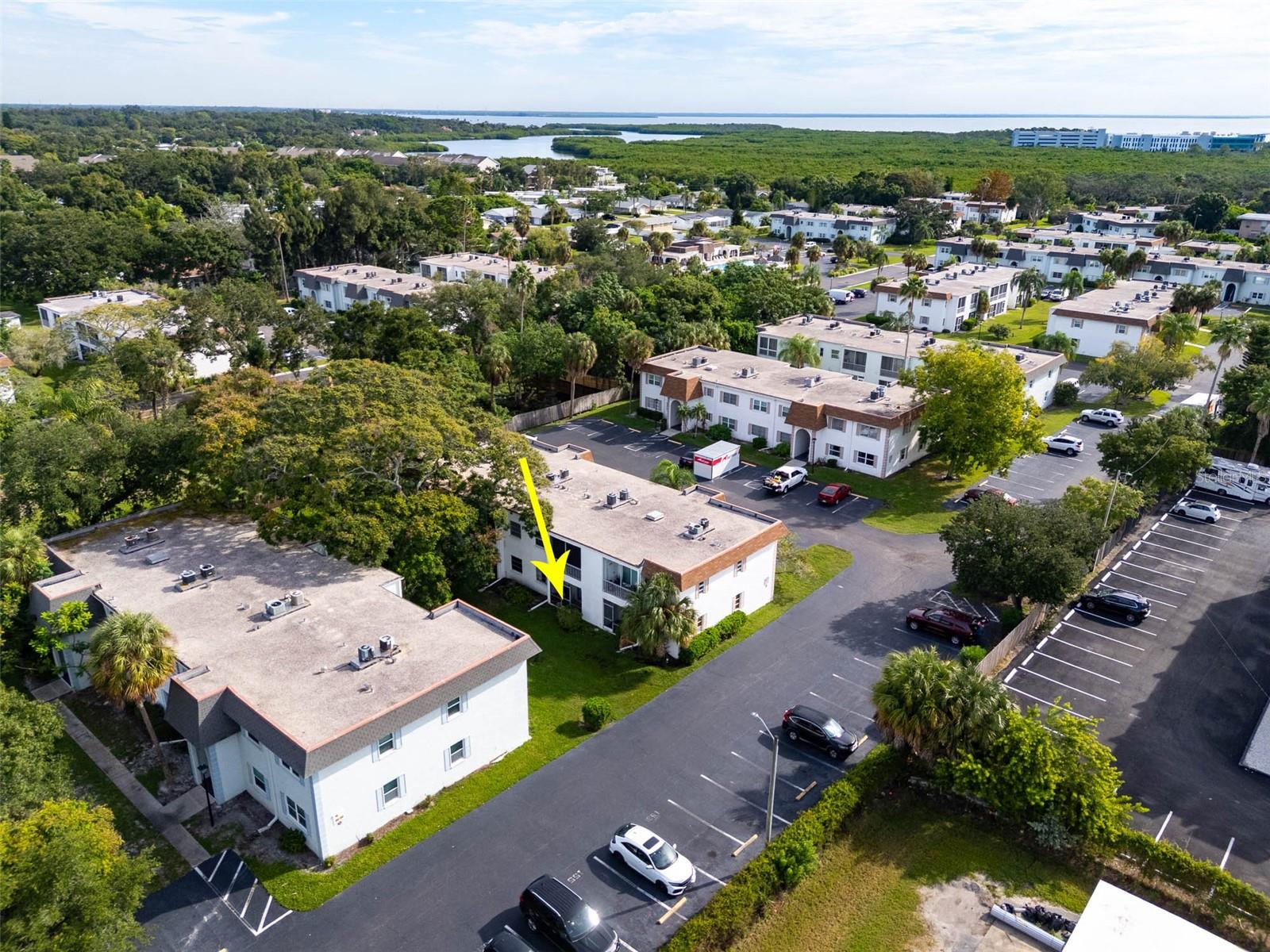 341 S MCMULLEN BOOTH ROAD, #147, Clearwater, FL 33759