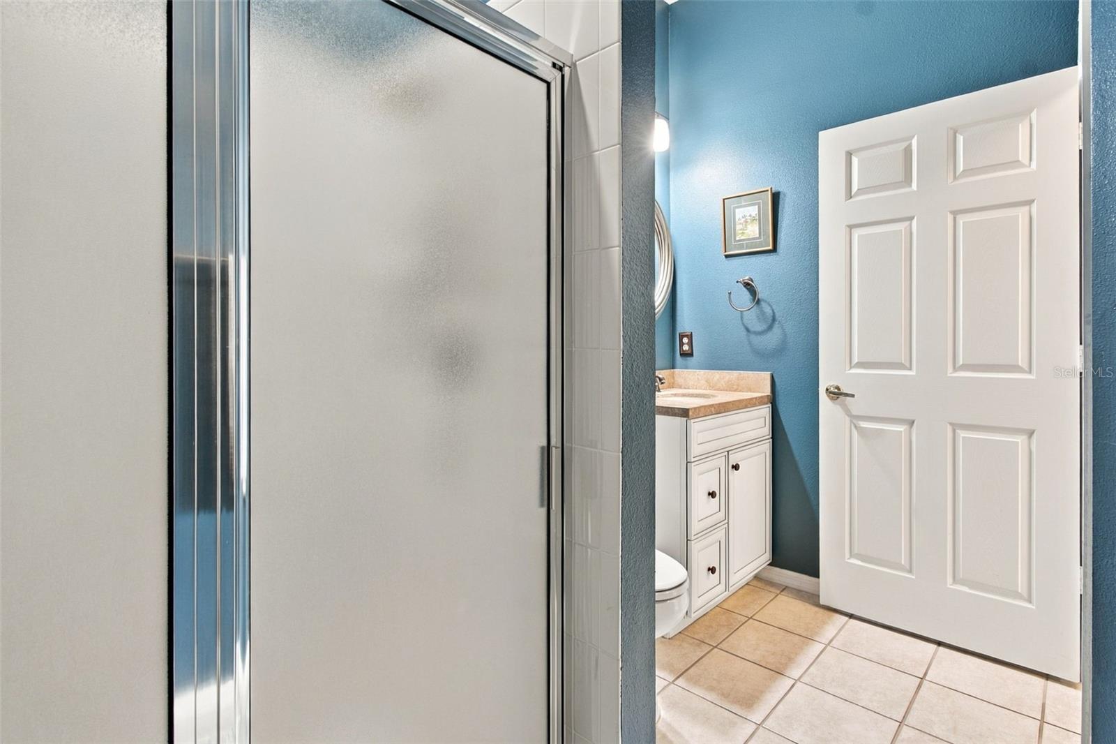 6901 AQUEDUCT TERRACE, Odessa, FL 33556