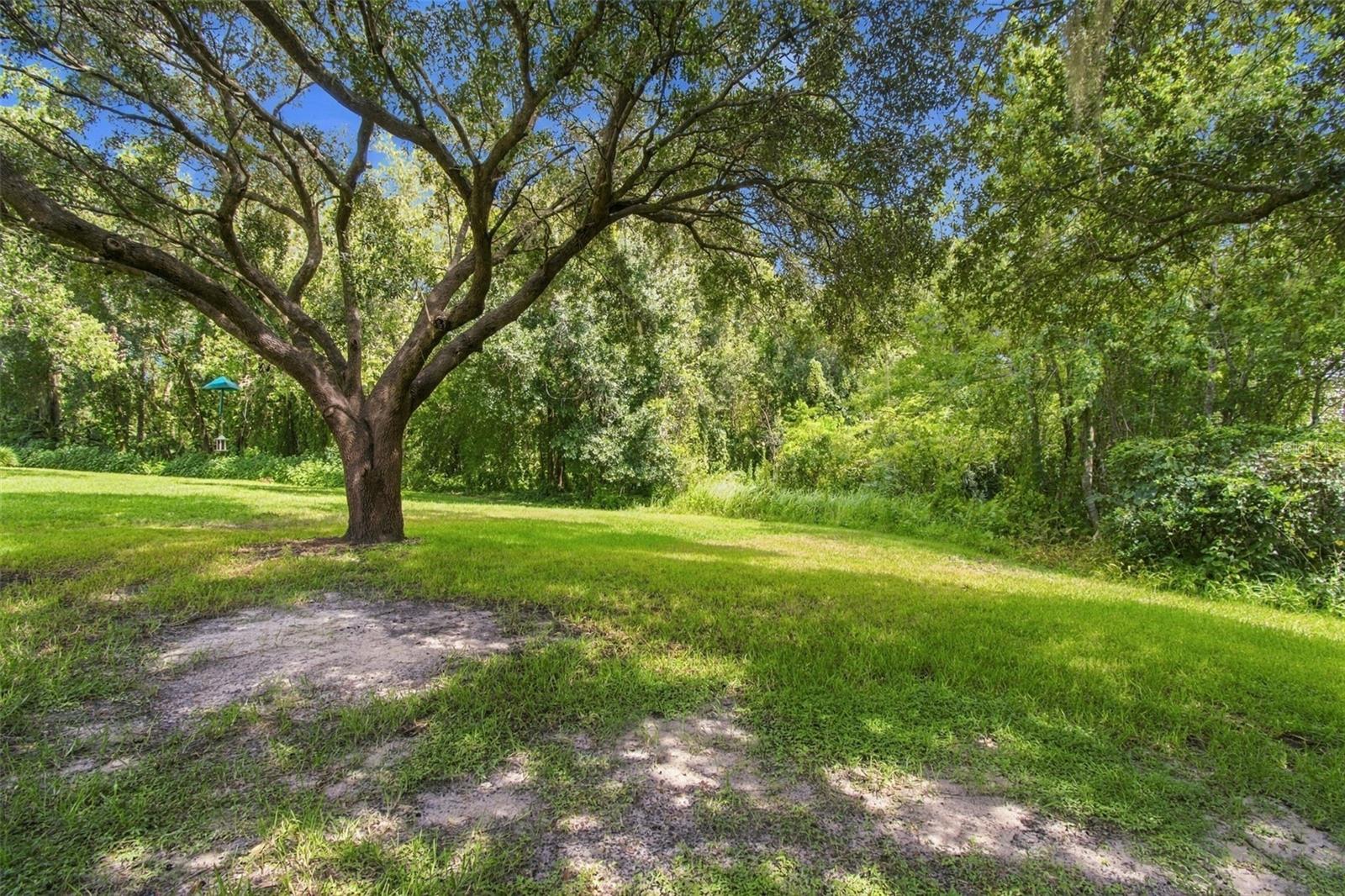 6901 AQUEDUCT TERRACE, Odessa, FL 33556