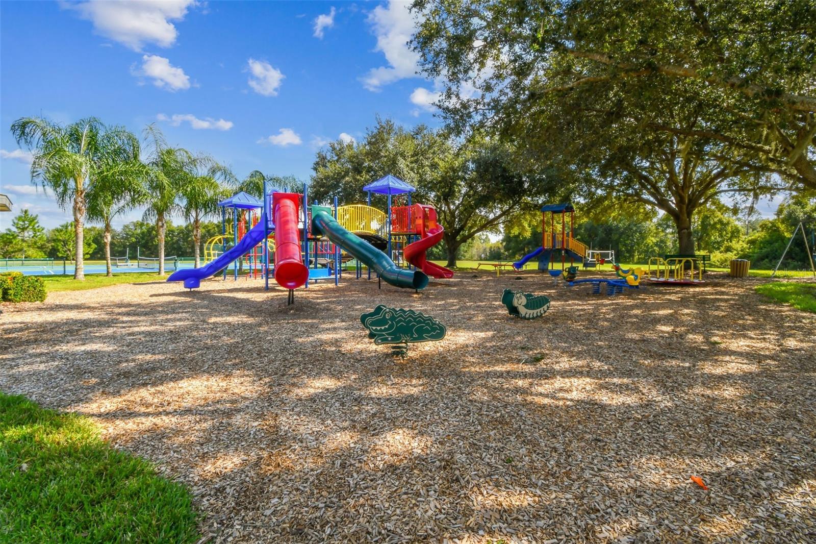 6901 AQUEDUCT TERRACE, Odessa, FL 33556