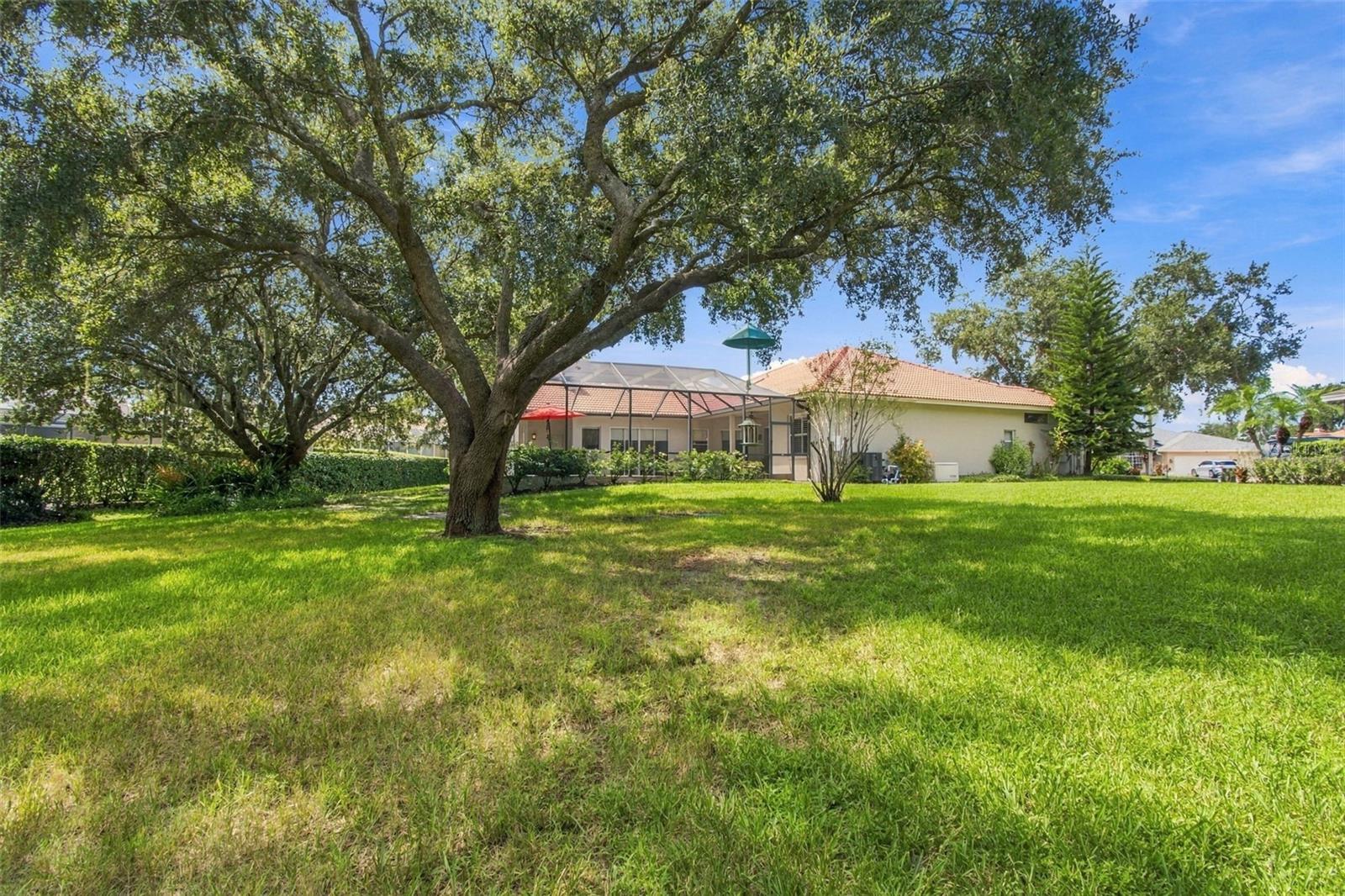 6901 AQUEDUCT TERRACE, Odessa, FL 33556