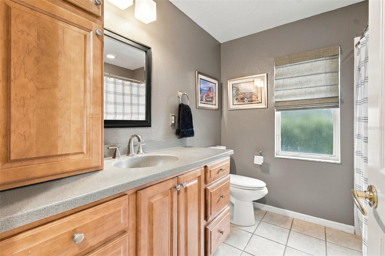 6901 AQUEDUCT TERRACE, Odessa, FL 33556
