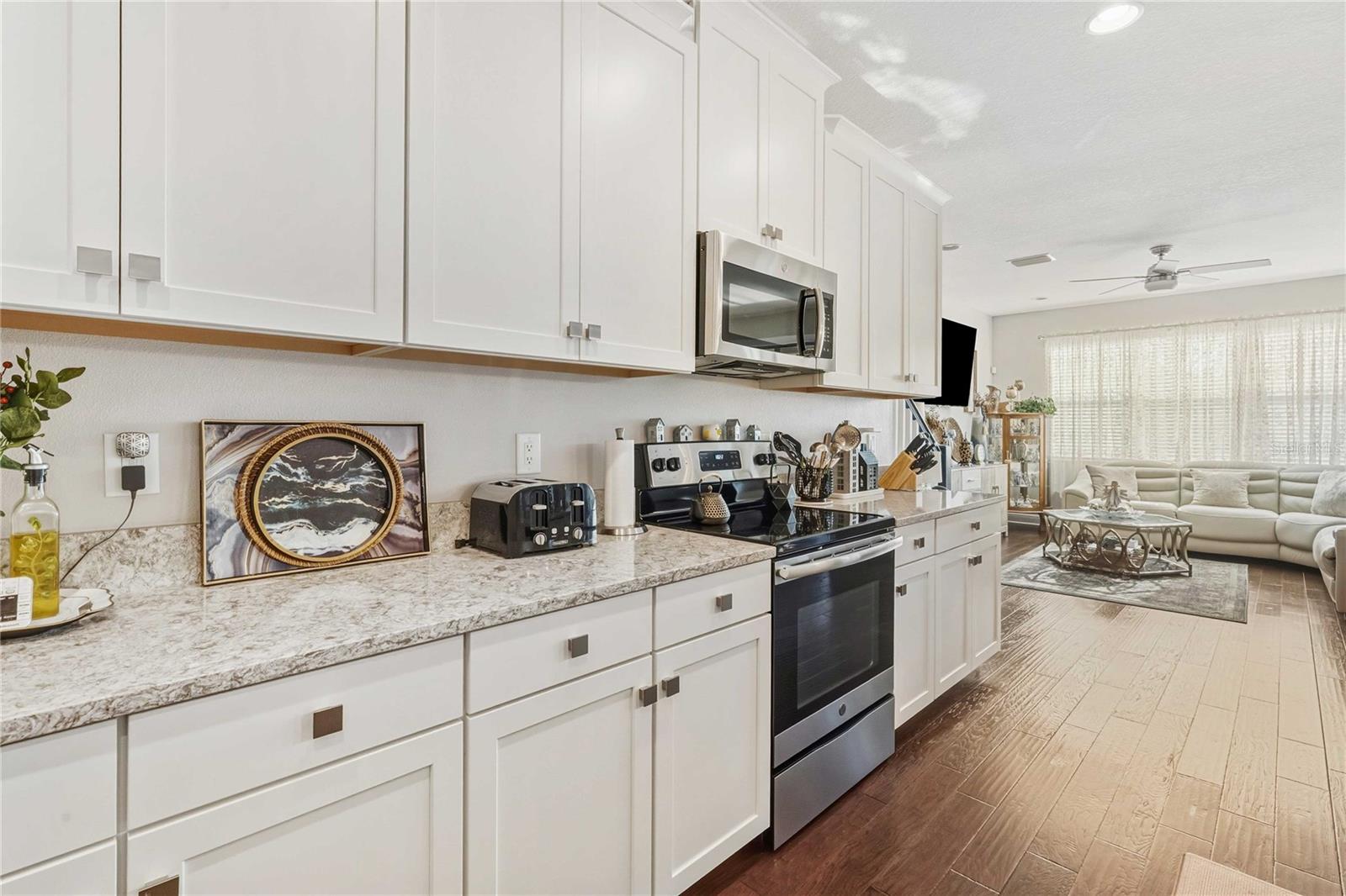 30263 SOUTHWELL LANE, Wesley Chapel, FL 33543
