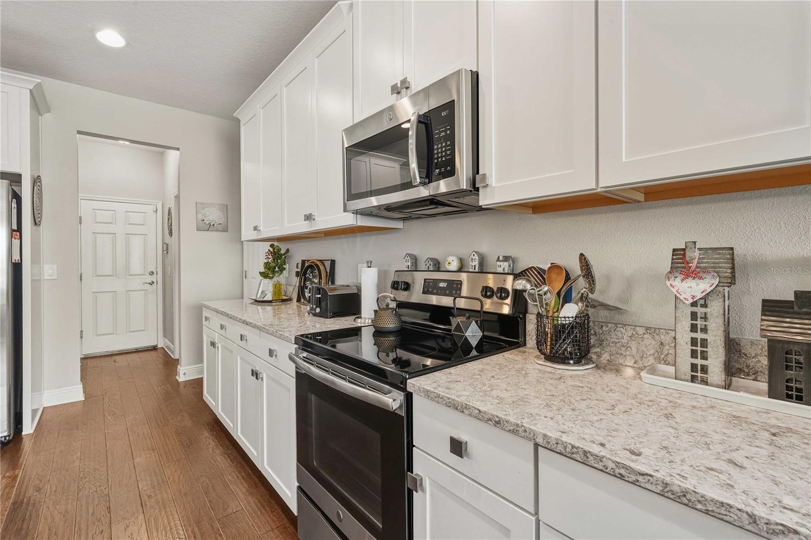 30263 SOUTHWELL LANE, Wesley Chapel, FL 33543