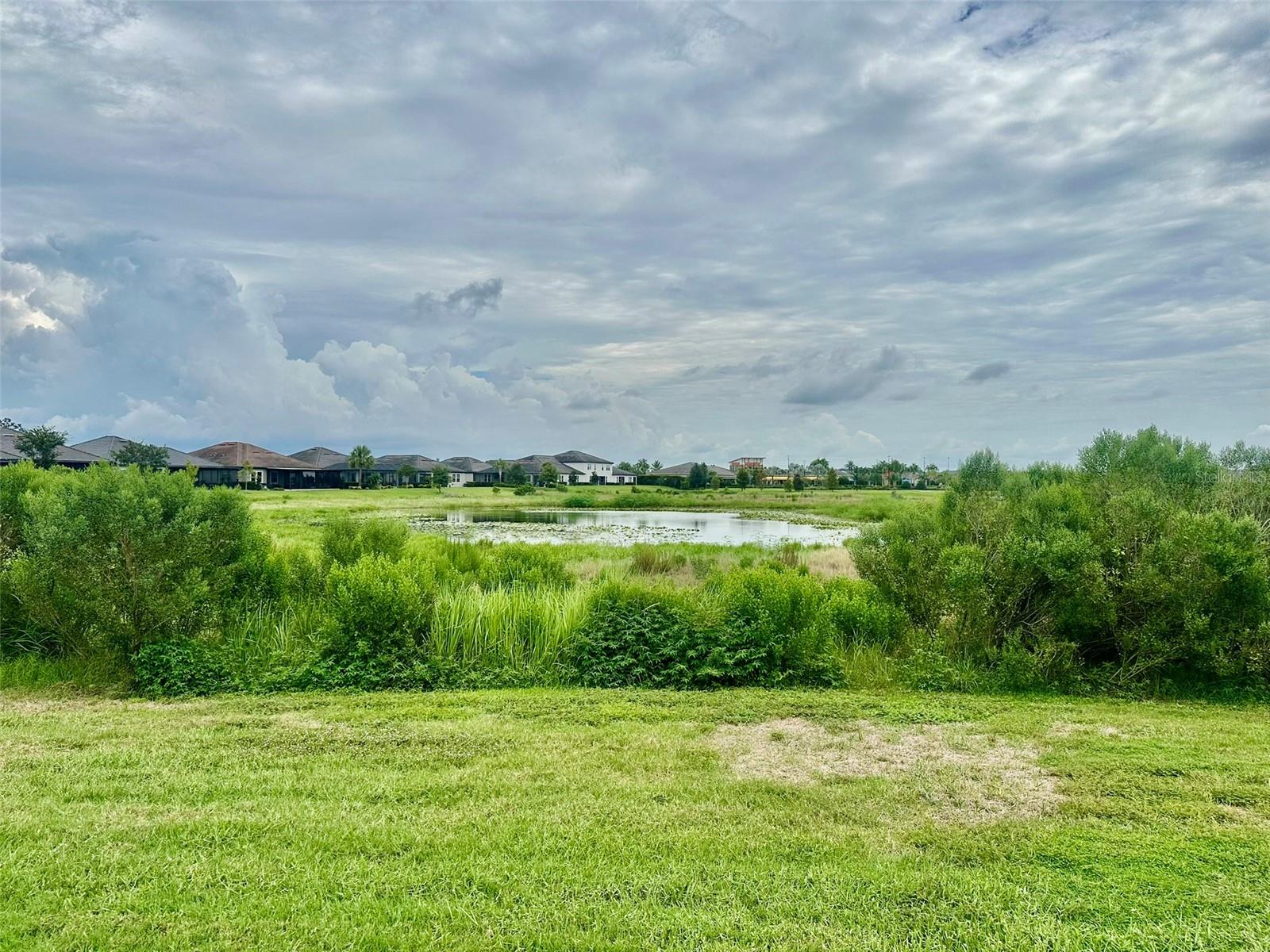 10442 ECHO DOCK LOOP, San Antonio, FL 33576