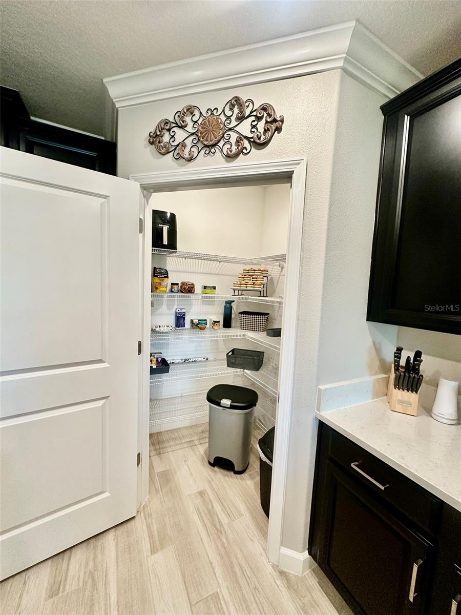 Large Storage Pantry