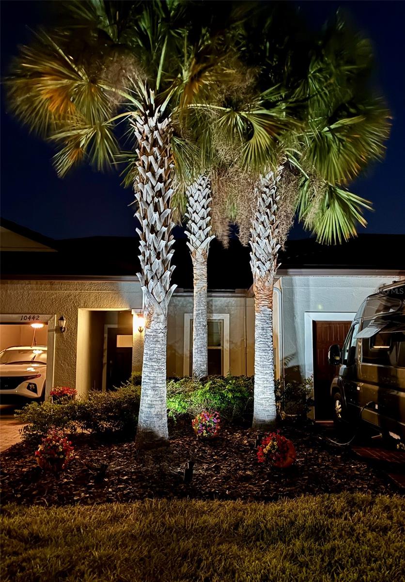 Landscape Lighting