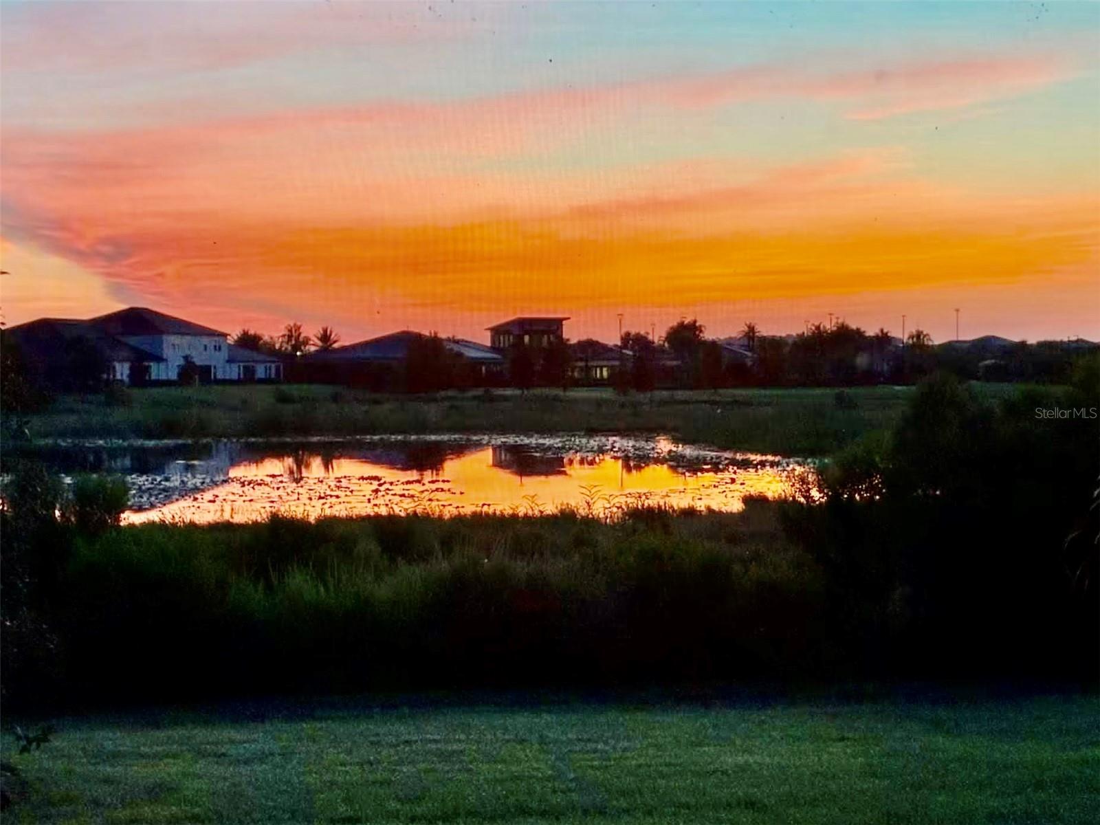 Backyard Sunrise