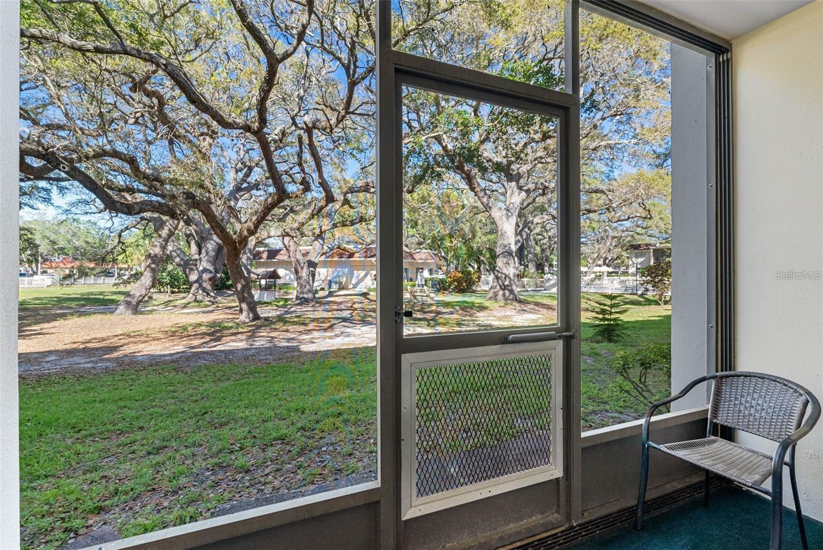 870 VIRGINIA STREET, #104, Dunedin, FL 34698