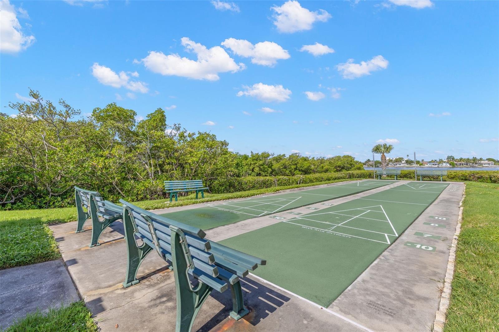 Shuffleboard courts add another outdoor amenity, set against a backdrop of mangroves and a water view that gives this part of the community a distinctly coastal feel.
