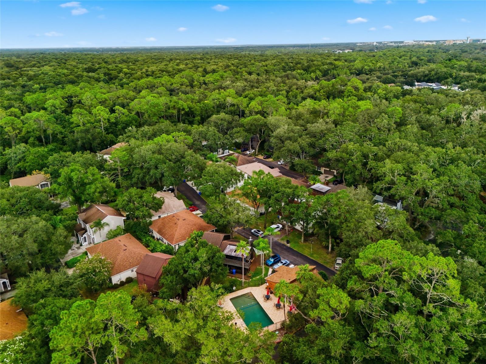 2621 FIDDLESTICK CIRCLE, Lutz, FL 33559