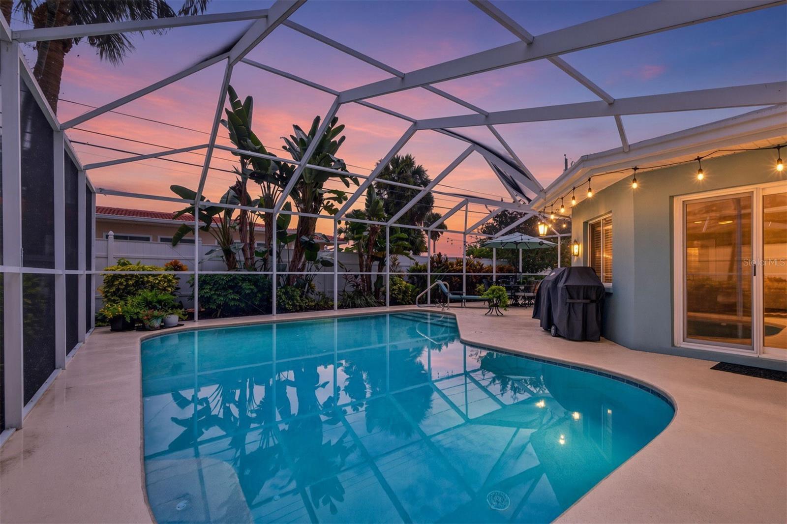 Twilight Pool View Twilight Pool View